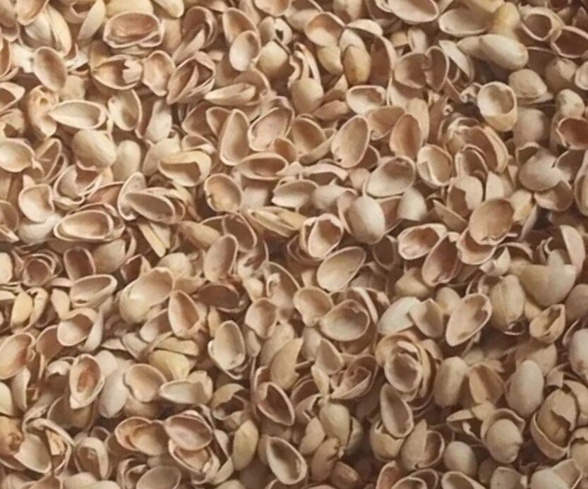 پوست پسته درجه یک برای تولید زغال قلیان